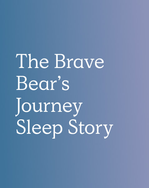The Brave Bear’s Journey Sleep Story