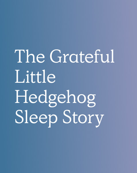 The Grateful Little Hedgehog Sleep Story